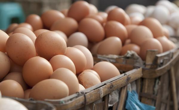 Statisticians say it may not be wise to put all their eggs in the significance basket. Statisticians say it may not be wise to put all their eggs in the significance basket.