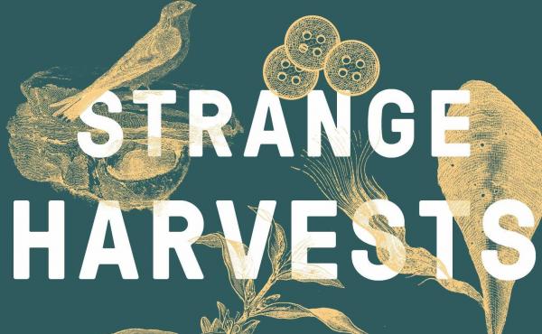 Strange Harvests: The Hidden Histories of Seven Natural Objects by Edward Posnett Strange Harvests: The Hidden Histories of Seven Natural Objects by Edward Posnett