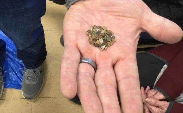 Seed companies are seeing historic levels of demand this year from home gardeners and commercial farmers, and they're having a hard time keeping up. Seed companies are seeing historic levels of demand this year from home gardeners and commercial farmers, and they're having a hard time keeping up.