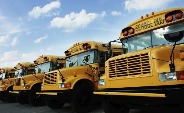A row of school buses. A row of school buses.