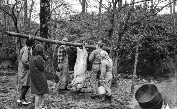 In an image from the first Foxfire book, students in 1969 look on as Hobe Beasley, John Hopper and Hopper's wife suspend a hog for finishing the work of scalding and scraping. In an image from the first Foxfire book, students in 1969 look on as Hobe Beasley, John Hopper and Hopper's wife suspend a hog for finishing the work of scalding and scraping.
