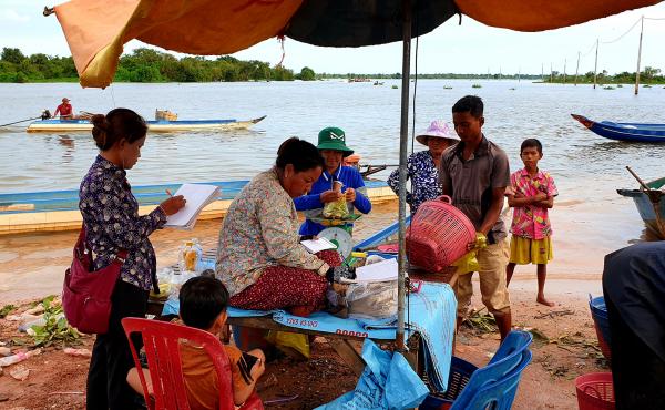 Fish broker Khout Phany, 39, (under umbrella) sits while fishermen bring their catch to be weighed in Chhnok Tru, a fishing village at the southern tip of the Tonle Sap lake where it meets the river. Fish broker Khout Phany, 39, (under umbrella) sits while fishermen bring their catch to be weighed in Chhnok Tru, a fishing village at the southern tip of the Tonle Sap lake where it meets the river.