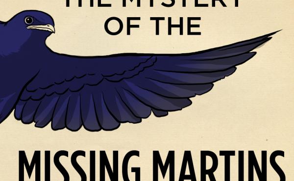 A promotional image from Skunk Bear's Field Trip Episode 1: The Mystery of the Missing Martins. A promotional image from Skunk Bear's Field Trip Episode 1: The Mystery of the Missing Martins.