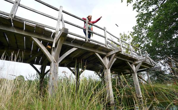 The original Poohsticks Bridge, featured in A.A. Milne's Winnie the Pooh books, has gone up for auction. It's estimated to sell for around $54,000 to $81,000. The original Poohsticks Bridge, featured in A.A. Milne's Winnie the Pooh books, has gone up for auction. It's estimated to sell for around $54,000 to $81,000.