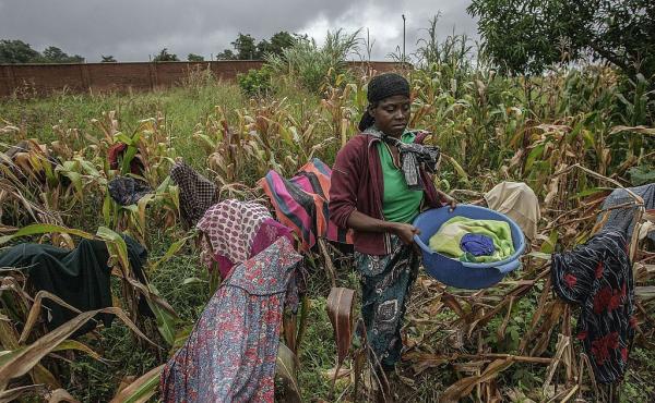 A woman dries clothes in a failed maize field in the north of Malawi. A woman dries clothes in a failed maize field in the north of Malawi.