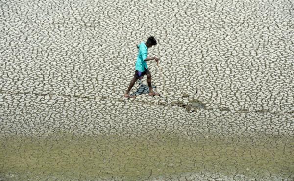 A youth scouts for mud crabs and snakehead fish on the parched bed of Chembarambakkam Lake on the outskirts of Chennai, India. A youth scouts for mud crabs and snakehead fish on the parched bed of Chembarambakkam Lake on the outskirts of Chennai, India.