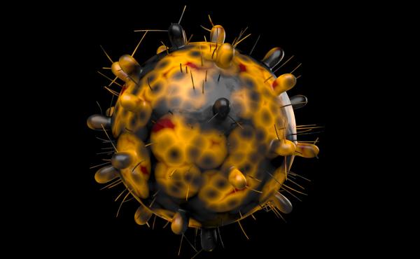 Here's a computer generated image of the omicron variant of the coronavirus — also known as B.1.1.529. Reported in South Africa on Nov. 24, this variant has a large number of mutations, some of which are concerning. Here's a computer generated image of the omicron variant of the coronavirus — also known as B.1.1.529. Reported in South Africa on Nov. 24, this variant has a large number of mutations, some of which are concerning.