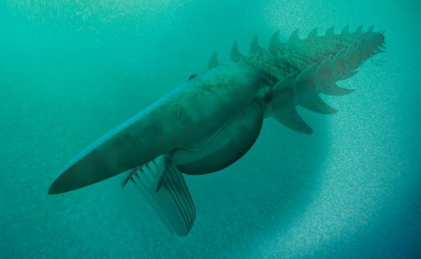 Reconstruction of the giant filter feeder, scooping up a plankton cloud. Aegirocassis benmoulae was one of the biggest arthropods that ever lived. Family members include today's insects, spiders and lobsters. Reconstruction of the giant filter feeder, scooping up a plankton cloud. Aegirocassis benmoulae was one of the biggest arthropods that ever lived. Family members include today's insects, spiders and lobsters.