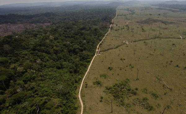 Large swaths of forest have been cut down in Brazil in recent decades to make room for farming. Deforestation contributes to global warming, and reversing it will be necessary to avoid catastrophic climate change. Large swaths of forest have been cut down in Brazil in recent decades to make room for farming. Deforestation contributes to global warming, and reversing it will be necessary to avoid catastrophic climate change.