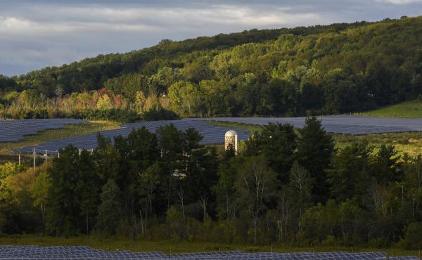 Solar farms surround trees at Cornell University in Ithaca, N.Y. The city voted Wednesday night to decarbonize the city's buildings and install more energy efficient appliances and more solar panels. The city says the move will cut 40% of their carbon emi Solar farms surround trees at Cornell University in Ithaca, N.Y. The city voted Wednesday night to decarbonize the city's buildings and install more energy efficient appliances and more solar panels. The city says the move will cut 40% of their carbon emi