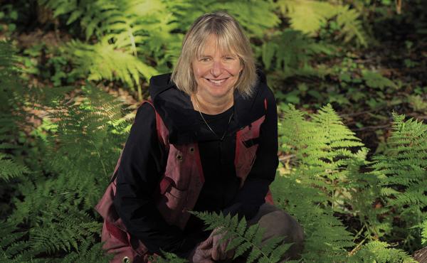 Suzanne Simard is a professor of forest ecology at the University of British Columbia. Her own medical journey inspired her research into, among other things, the way yew trees communicate chemically with neighboring trees for their mutual defense. Suzanne Simard is a professor of forest ecology at the University of British Columbia. Her own medical journey inspired her research into, among other things, the way yew trees communicate chemically with neighboring trees for their mutual defense.