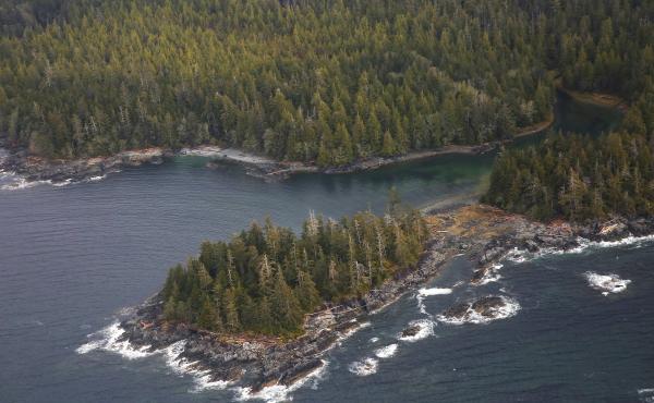 The Tongass National Forest, near Ketchikan, Alaska. The Trump Administration is set to remove long-standing protections against logging and development in the forest. The Tongass National Forest, near Ketchikan, Alaska. The Trump Administration is set to remove long-standing protections against logging and development in the forest.