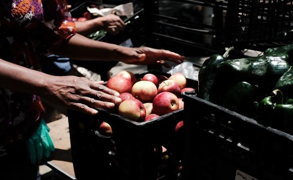 A woman packs crates at a weekly free food pantry in the Bronx in New York City. The Trump administration is considering penalizing legal immigrants for using government benefits such as Medicaid and food stamps. A woman packs crates at a weekly free food pantry in the Bronx in New York City. The Trump administration is considering penalizing legal immigrants for using government benefits such as Medicaid and food stamps.