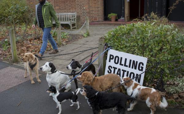 Dogs wait for their owners outside a polling station in London, part of a popular tradition of taking pets to the polls. The U.K. is voting in a general election to select 650 members of Parliament. Dogs wait for their owners outside a polling station in London, part of a popular tradition of taking pets to the polls. The U.K. is voting in a general election to select 650 members of Parliament.