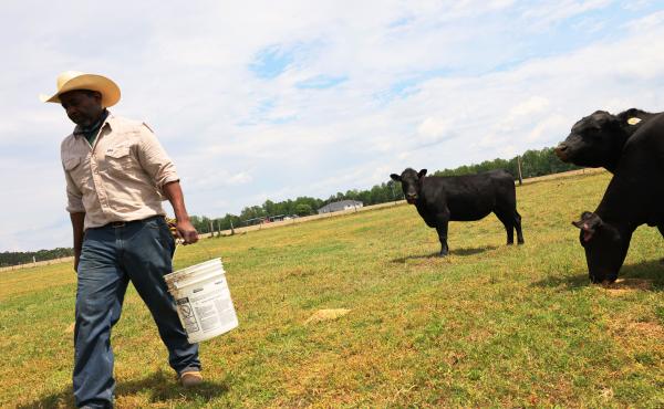 Handy Kennedy, founder of AgriUnity cooperative, feeds his cows on HK Farms earlier this year in Cobbtown, Ga. The AgriUnity cooperative is a group of Black farmers formed to better their chances of economic success. Handy Kennedy, founder of AgriUnity cooperative, feeds his cows on HK Farms earlier this year in Cobbtown, Ga. The AgriUnity cooperative is a group of Black farmers formed to better their chances of economic success.