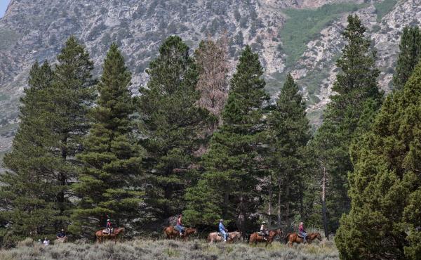 Horseback riders head down a trail near June Lake, Calif. As post-pandemic travel increases, people are flocking to outdoor activities and rural areas. Horseback riders head down a trail near June Lake, Calif. As post-pandemic travel increases, people are flocking to outdoor activities and rural areas.