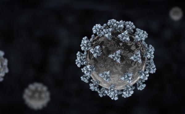 KQED Deep Look delves into how the novel coronavirus attacks the lungs in this new video. KQED Deep Look delves into how the novel coronavirus attacks the lungs in this new video.