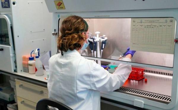A scientist is pictured working during a visit by Britain's Prince William, Duke of Cambridge (unseen), to Oxford Vaccine Group's laboratory facility at the Churchill Hospital in Oxford, west of London on June 24, 2020, on his visit to learn more about th A scientist is pictured working during a visit by Britain's Prince William, Duke of Cambridge (unseen), to Oxford Vaccine Group's laboratory facility at the Churchill Hospital in Oxford, west of London on June 24, 2020, on his visit to learn more about th