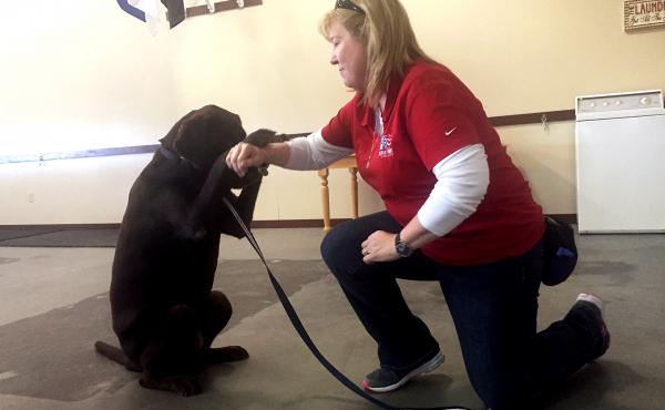 Cheryl Woolnough, director of training at Patriot PAWS in Rockwall, Texas, works with Papi, a Labrador retriever. Cheryl Woolnough, director of training at Patriot PAWS in Rockwall, Texas, works with Papi, a Labrador retriever.