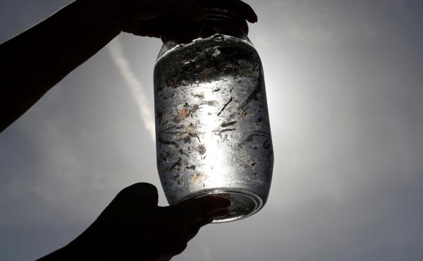 A water sample taken from the Mediterranean Sea as part of a scientific study about microplastics damaging marine ecosystems on the French Riviera in 2018. In a new study, the WHO says that microplastics are "ubiquitous." A water sample taken from the Mediterranean Sea as part of a scientific study about microplastics damaging marine ecosystems on the French Riviera in 2018. In a new study, the WHO says that microplastics are "ubiquitous."