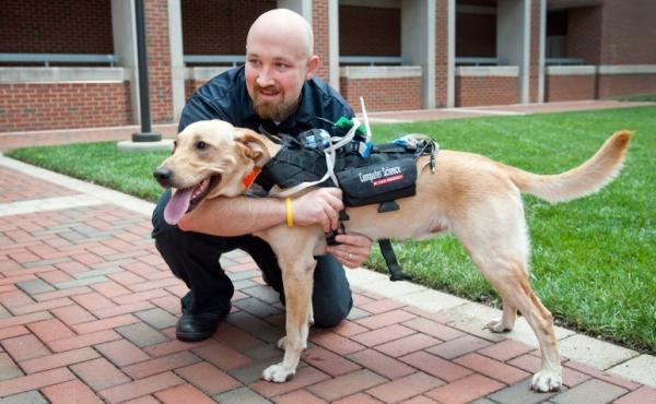 David Roberts says the Cyber-Enhanced Working Dog harness will allow humans to monitor dogs' physical and emotional states remotely, such as in search and rescue operations. David Roberts says the Cyber-Enhanced Working Dog harness will allow humans to monitor dogs' physical and emotional states remotely, such as in search and rescue operations.
