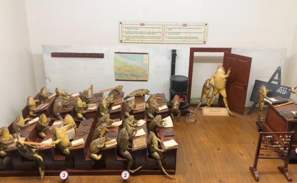 A Froggyland diorama shows a teacher trying to control a class in which students are hitting each other with rulers, arriving late to class and balancing pencils on their noses. Each diorama displays anthropomorphized frogs in human scenes of the early 2 A Froggyland diorama shows a teacher trying to control a class in which students are hitting each other with rulers, arriving late to class and balancing pencils on their noses. Each diorama displays anthropomorphized frogs in human scenes of the early 2