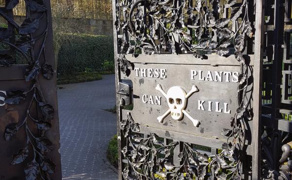 The elaborate Alnwick Garden in northeast England includes a "Poison Garden" that showcases plants with killer properties. Visitors are invited to look but not touch or even smell. The elaborate Alnwick Garden in northeast England includes a "Poison Garden" that showcases plants with killer properties. Visitors are invited to look but not touch or even smell.