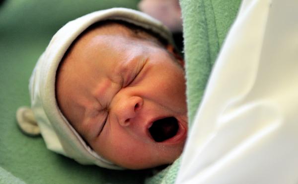 A newborn lies in the maternity ward of the Lens hospital, northern France. A study of crying mice could help explain some building blocks of human infant cries and adult speech. A newborn lies in the maternity ward of the Lens hospital, northern France. A study of crying mice could help explain some building blocks of human infant cries and adult speech.