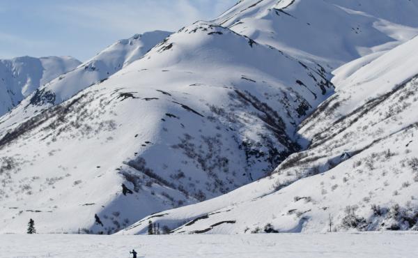 Sam Sterling skis over a crusty layer of snow in the mountains off the Denali Highway in Interior Alaska this month. Sam Sterling skis over a crusty layer of snow in the mountains off the Denali Highway in Interior Alaska this month.