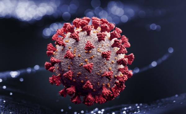 A computer rendering of SARS-CoV-2, the virus that causes COVID-19. A computer rendering of SARS-CoV-2, the virus that causes COVID-19.