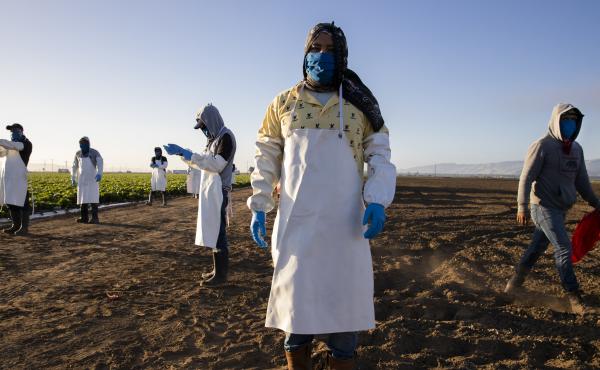 Before massive wildfires broke out in California, farmworkers already had to take extra precautions for COVID-19. Now they must worry about dangerous air from wildfires. In this photo, farmworkers arrive early in the morning to begin harvesting on April 2 Before massive wildfires broke out in California, farmworkers already had to take extra precautions for COVID-19. Now they must worry about dangerous air from wildfires. In this photo, farmworkers arrive early in the morning to begin harvesting on April 2