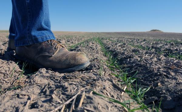 The Agriculture Department established research centers in 2014 to translate climate science into real-world ideas to help farmers and ranchers adapt to a hotter climate. But a tone of skepticism about climate change from the Trump administration has some The Agriculture Department established research centers in 2014 to translate climate science into real-world ideas to help farmers and ranchers adapt to a hotter climate. But a tone of skepticism about climate change from the Trump administration has some
