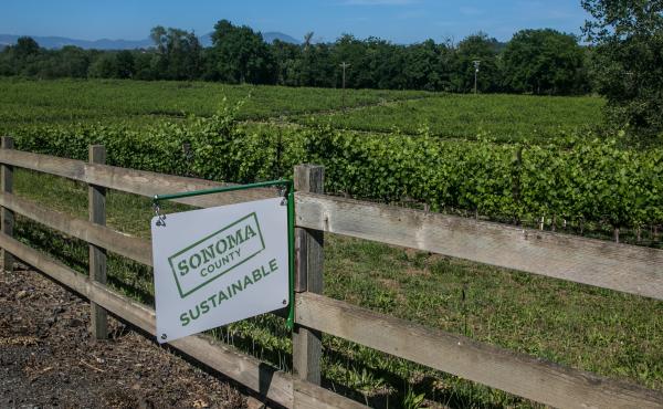 A "Sonoma Sustainable" sign hangs along a road in the Russian River Valley near Healdsburg, Calif. A "Sonoma Sustainable" sign hangs along a road in the Russian River Valley near Healdsburg, Calif.