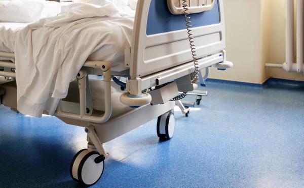 Hospitals seem to be doing a better job than nursing homes of keeping bedbugs at bay. Hospitals seem to be doing a better job than nursing homes of keeping bedbugs at bay.